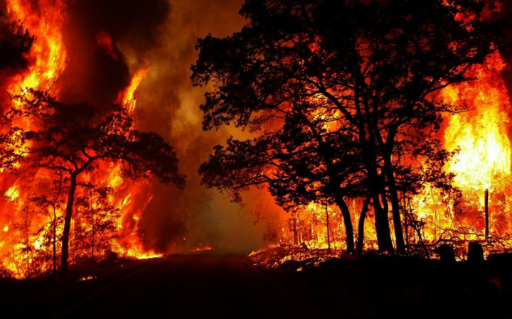 La Kabylie en proie à des incendies criminels, août 2021.