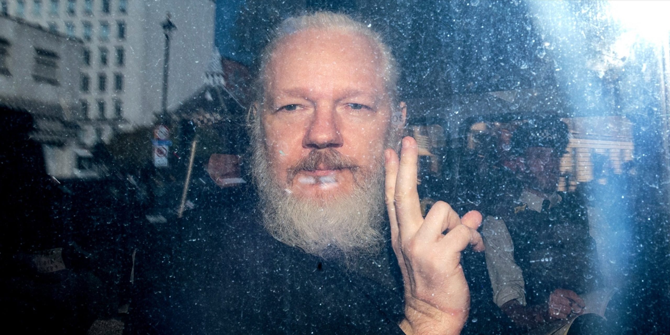Julian Assange et le cocotier